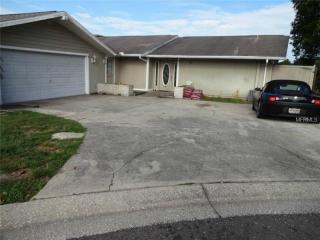 10211 Lake Grove Dr, Odessa, FL 33556-2504