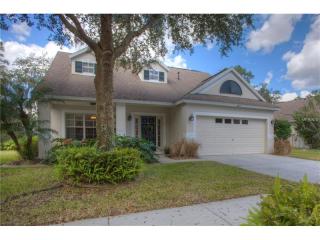 6213 Gannetdale Dr, Lithia, FL 33547-4823