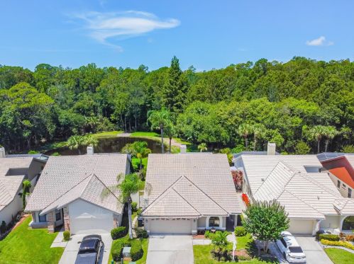 3664 Darston St, Palm Harbor FL  34685-1182 exterior