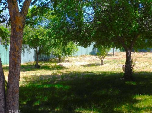 107 Capitol Hill Dr, Lake Nacimiento CA  93446-2730 exterior
