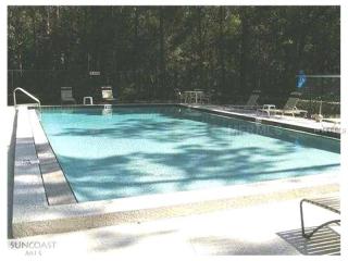 135 Woods Landing Trl, Oldsmar FL  34677-4229 exterior