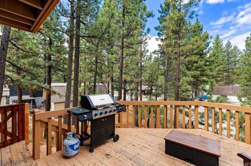 202 Pineview Dr, Big Bear City, CA 92314-8827