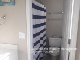 2384 Kings Gate Ln, Mount Pleasant SC  29466-8151 exterior
