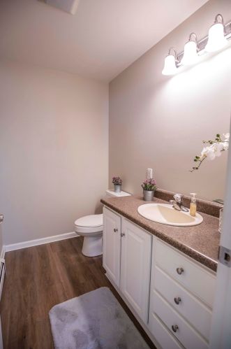 29 Theresa Ave, Salem NH  03079-3959 exterior