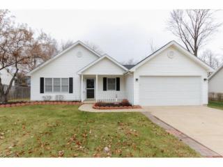 377 Arbor Ct, Medina, OH 44256-1555