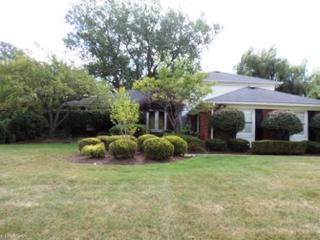 25760 Hurlingham Rd, Cleveland, OH 44122-2473