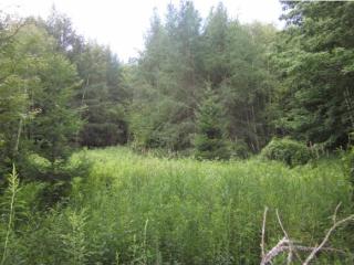 1 Fellows Rd, Lemington, VT 05905-9700