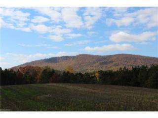 1396 Gentry Farm Rd, King, NC 27021-7505