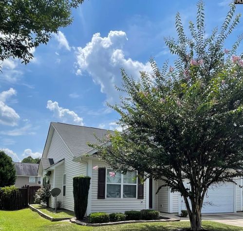 307 Lace Bark Ln, Lexington, SC 29073-6916