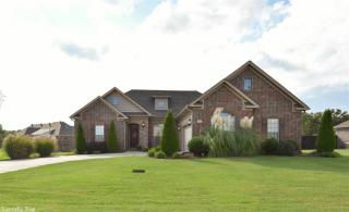 245 Gipson Cv, Conway AR  72034-7782 exterior