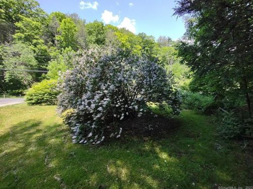 497 Cornwall Bridge Rd, West Woods CT  06069-2522 exterior