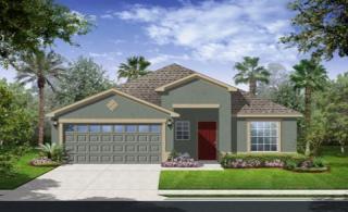 2103 Colville Chase Dr, Ruskin FL  33570-6301 exterior