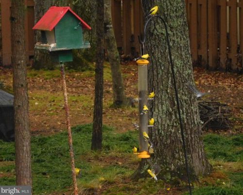 16832 Fairfax Dr, Owens VA  22485-5649 exterior