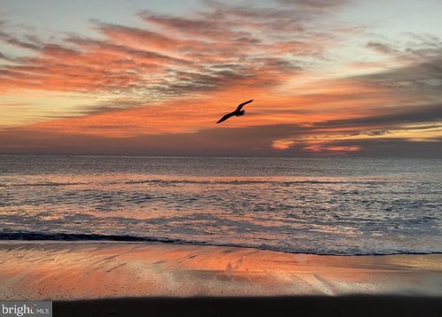 37548 Birch St, Millville DE  19970-4443 exterior