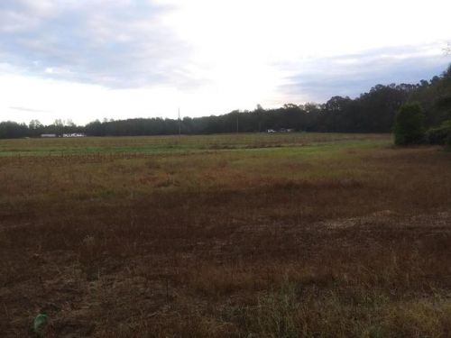 70 Chavis Rd, Blackville, SC 29817