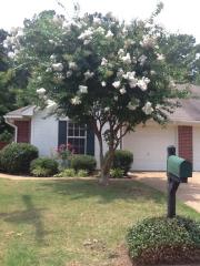 141 Kings Ridge Dr, Brandon MS  39047-6099 exterior