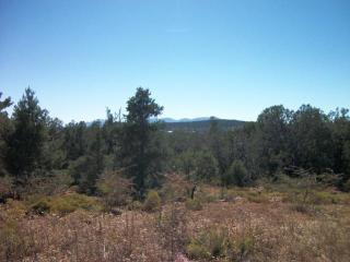 1301 Chennault Pkwy, Payson, AZ