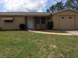3708 Rosewater Dr, Tarpon Springs, FL 34691-5151