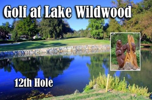 18883 Hummingbird Dr, Lake Wildwood CA  95946-9694 exterior