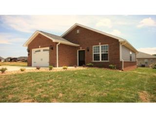 255 Sweetgrass Ln, Jonesborough, TN 37659-4467