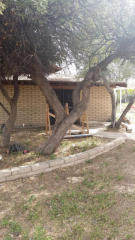 6635 12 St, Phoenix AZ  85024-2375 exterior