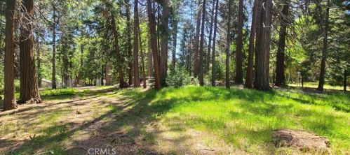 13783 Nimshew Rd, Nimshew CA  95954-9690 exterior