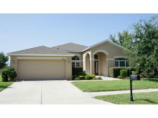 2322 Triggerfish Ct, Tarpon Springs, FL 34691-9826