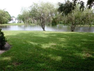 162 Lakeview Way, Oldsmar FL  34677-2257 exterior