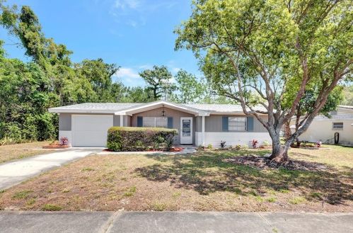 5019 Forest Hills Dr, Tarpon Springs, FL 34690-6131