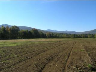 7060 Elmore Mountain Rd, Morrisville, VT 05661
