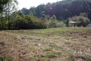 333 Brandy Ln, Patsey, KY 40380-9362