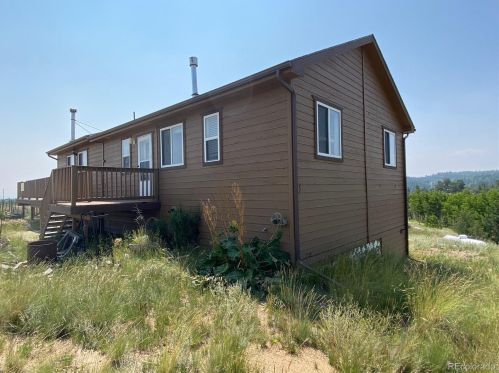 2111 Warrior Cir, Fairplay, CO