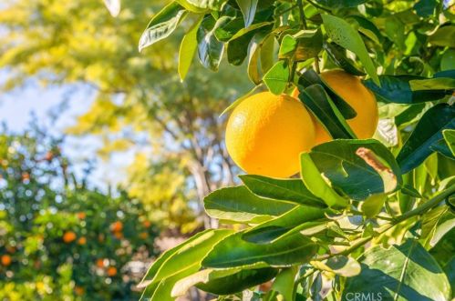 26953 Potomac Dr, Menifee CA  92586-3162 exterior