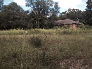 11180 Tung Grove Rd, Tallahassee, FL 32317-9734