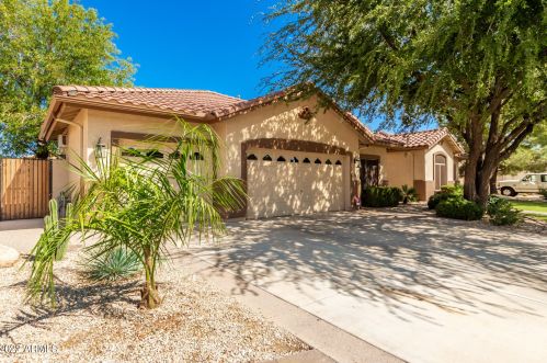 568 Constitution Dr, Gilbert, AZ 85296-4173