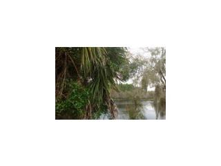 11900 Bluff Cove Path, Dunnellon, FL 34434-2287