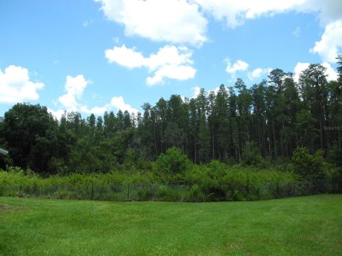 18717 Hamilton St, Lutz FL  33549-3820 exterior