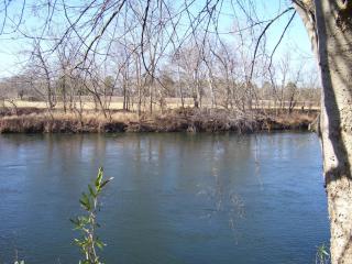 186 River Ln, Delano, TN 37325-7817