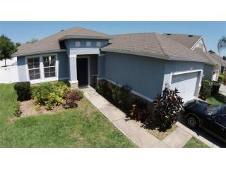 412 Fern Gulley Dr, Seffner FL  33584-3739 exterior