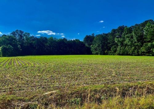 909 2nd Bend Rd, Harleyville, SC 29448-4058