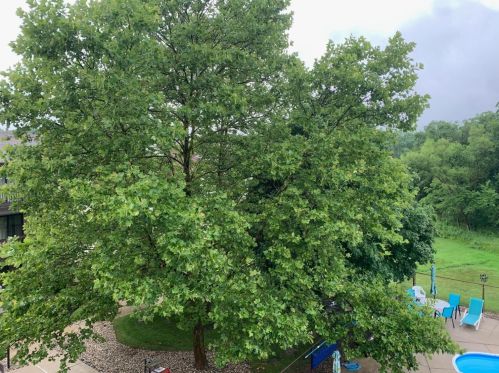 849 Summit Park Ct, Crown Point IN  46307 exterior