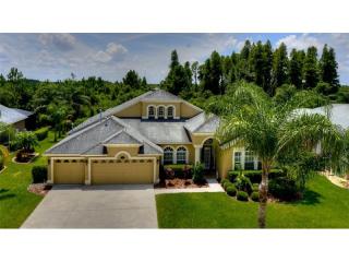16616 Ivy Lake Dr, Odessa, FL 33556-6018
