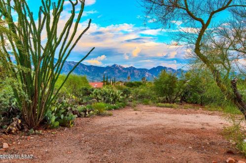 37912 Escocia Ln, Tucson AZ  85739-7078 exterior
