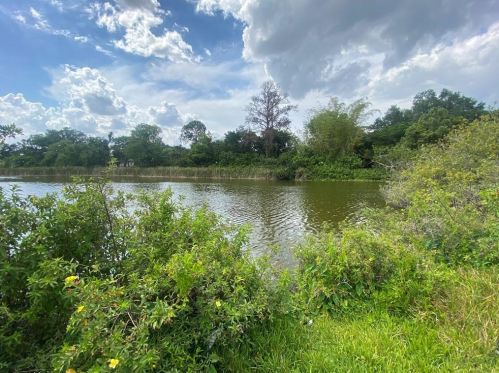 906 Pine Hills Rd, Orlando, FL 32808-7247