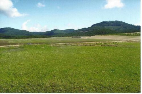 1 Drumheller Rd, Rockford, WA 99030