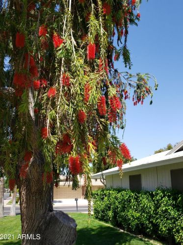 18803 Concho Cir, Sun City AZ 85373-1202 exterior