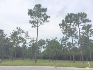 3990 Wyndmere Dr, Oak Island NC  28461-8170 exterior