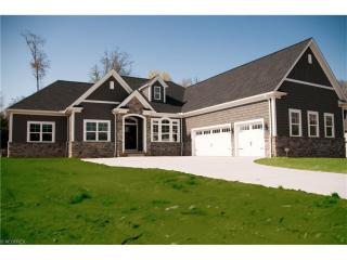 2973 Blue Heron Trce, Medina, OH 44256-6123