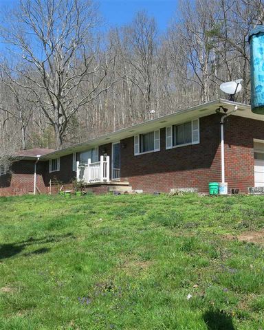 3029 Whites Creek Rd, Prichard, WV 25555-8103