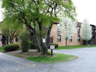 3141 Manley Rd, Maumee, OH 43537-9617